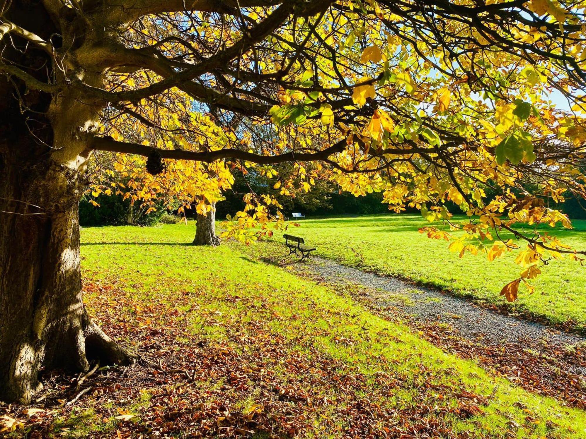 Endsleigh Park 2*